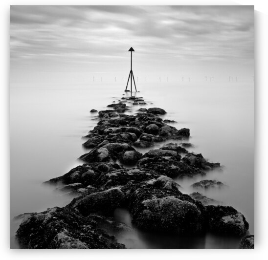 Receding Tide by Dave Bowman