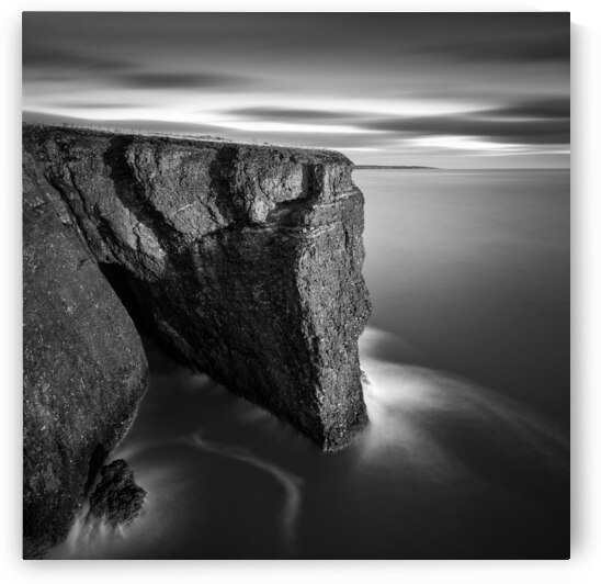 Fowlsheugh Cliffs by Dave Bowman