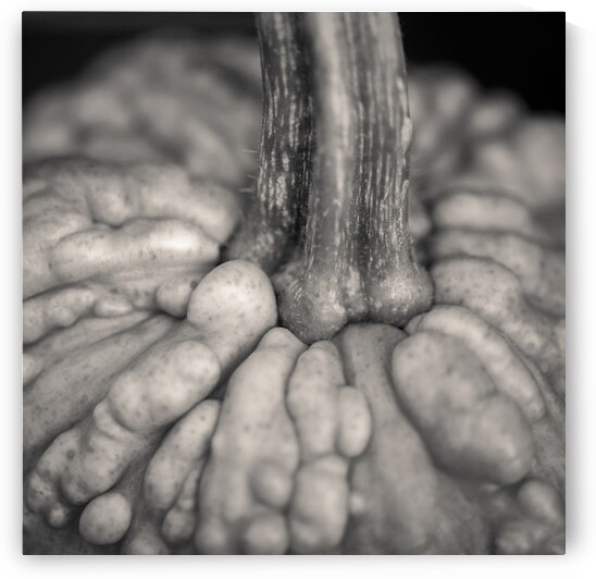 Knucklehead Pumpkin by Dave Bowman