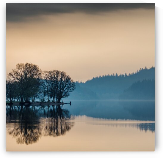 Loch Ard Reflection by Dave Bowman