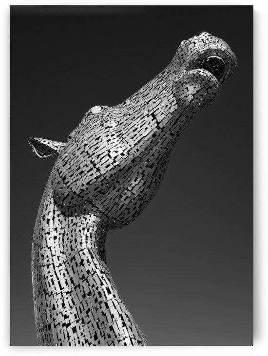 Kelpie by Dave Bowman