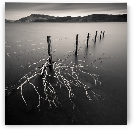 Stuck by Dave Bowman