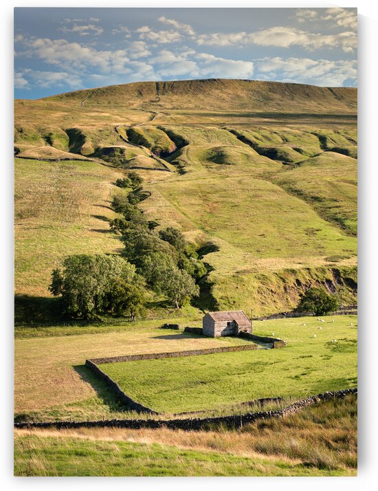 Life in the Yorkshire Dales by Dave Bowman