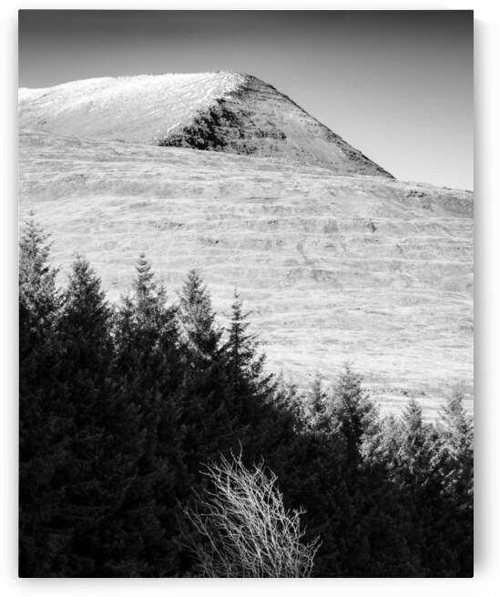 Mull Trees and Peak by Dave Bowman