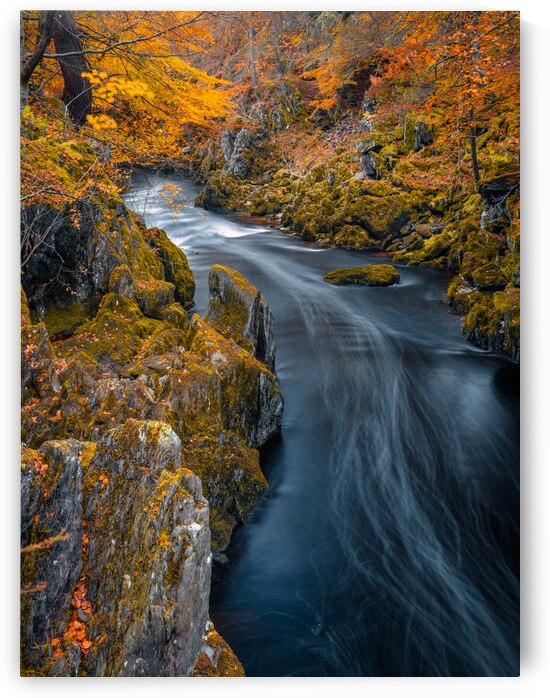 River Esk at Autumn by Dave Bowman