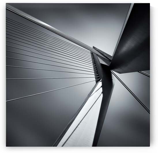 Erasmusbrug by Dave Bowman