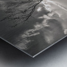 The Lonely Tree Metal print