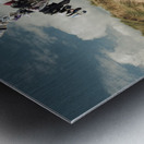 Dobbys Grave Metal print