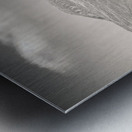 Glen Shiel Tree Metal print