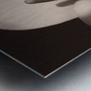 Calla Lily Metal print