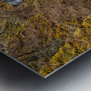 Woodland Waterfall Metal print