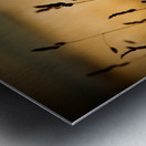 The Field Metal print