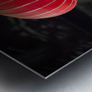 Chinese Lanterns Metal print