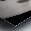 White Calla Lily Impression metal