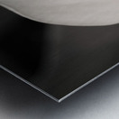 Calla Lily Bloom Metal print