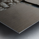 Hercules and the Centaur Nessus Metal print