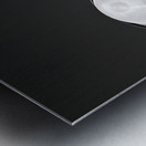 Bridge Light Metal print