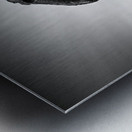 Whalebone Metal print