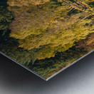 Autumn on Glencoe Lochan Impression metal