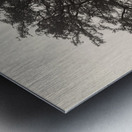 Exmoor Tree Metal print