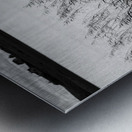 Uist Reeds Metal print