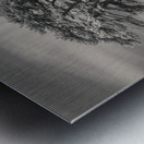 Llansteffan Cedar Tree Metal print