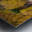 Autumn on River Tummel Metal print