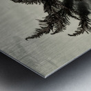 Water Fronds Metal print