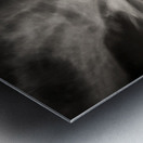 White Swan Metal print