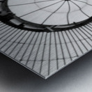 Fern and Dome Metal print