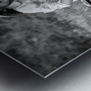 Fun on the Yen River Metal print