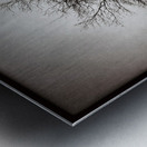 Winter Tree Metal print