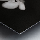 Woodland Study 1 Impression metal