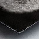 Woodland Study 5 Metal print