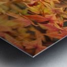 Turning Seasons Metal print