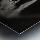 Woodland Study 7 Metal print