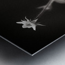 Woodland Study 3 Impression metal