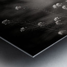 Woodland Study 12 Metal print