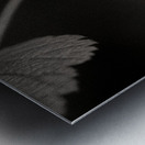 Woodland Study 10 Metal print