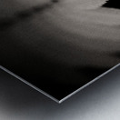 Woodland Study 8 Impression metal