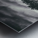 Assynt Tree Impression metal