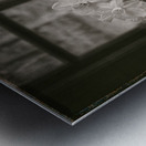 Daffodils Metal print