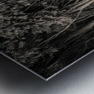 Incense Cedar Metal print