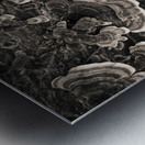 Bracket Fungi Metal print