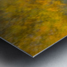 Autumn Shimmer Metal print