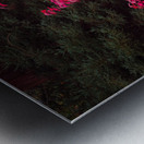 Fire Tree Metal print