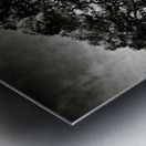 Roman Forum Trees Metal print