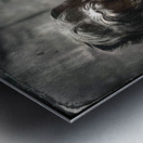 Greyfriars Bobby Metal print