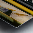 Pagani Zonda S Rear Metal print