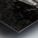 Farnese Aviary Metal print